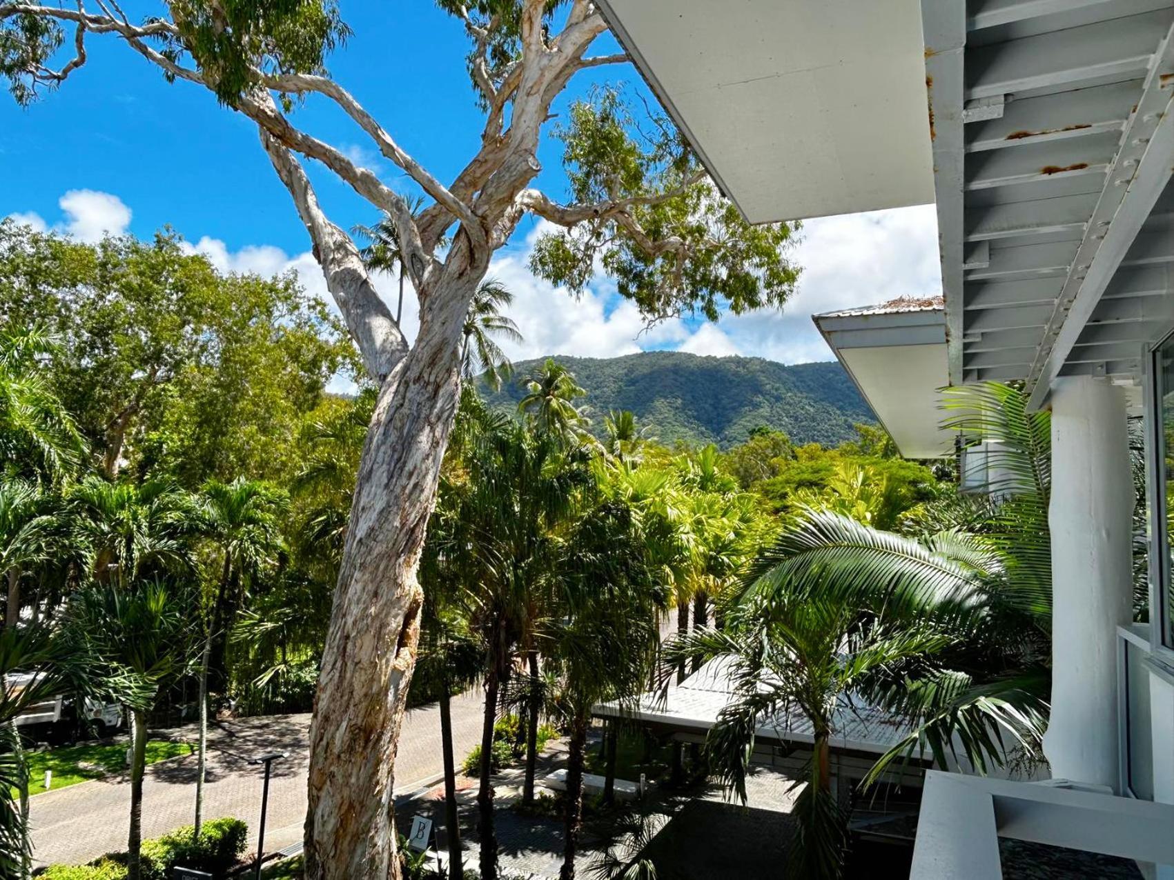 Palm Cove Beachside Apartments - Pool And Garden Views Luaran gambar